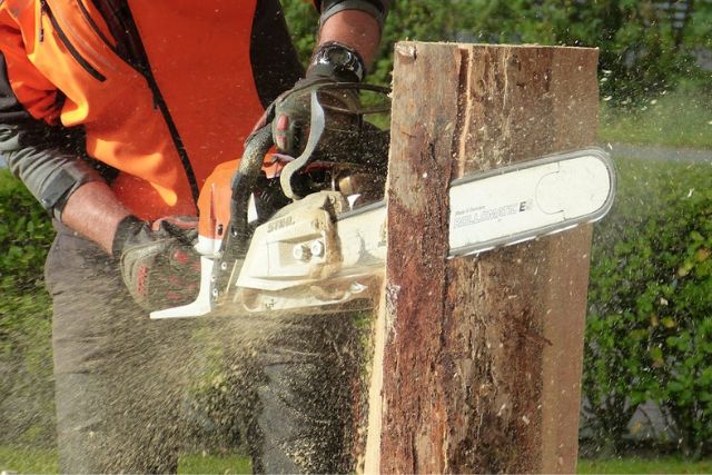 The Different types of chainsaws and their advantages and disadvantages