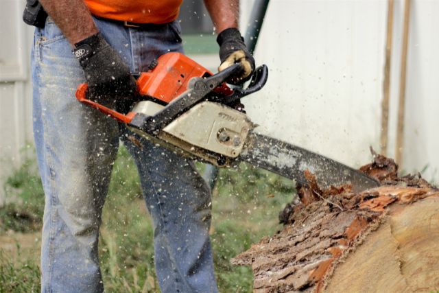 What Is Chainsaw And How To Choose Your Chainsaw